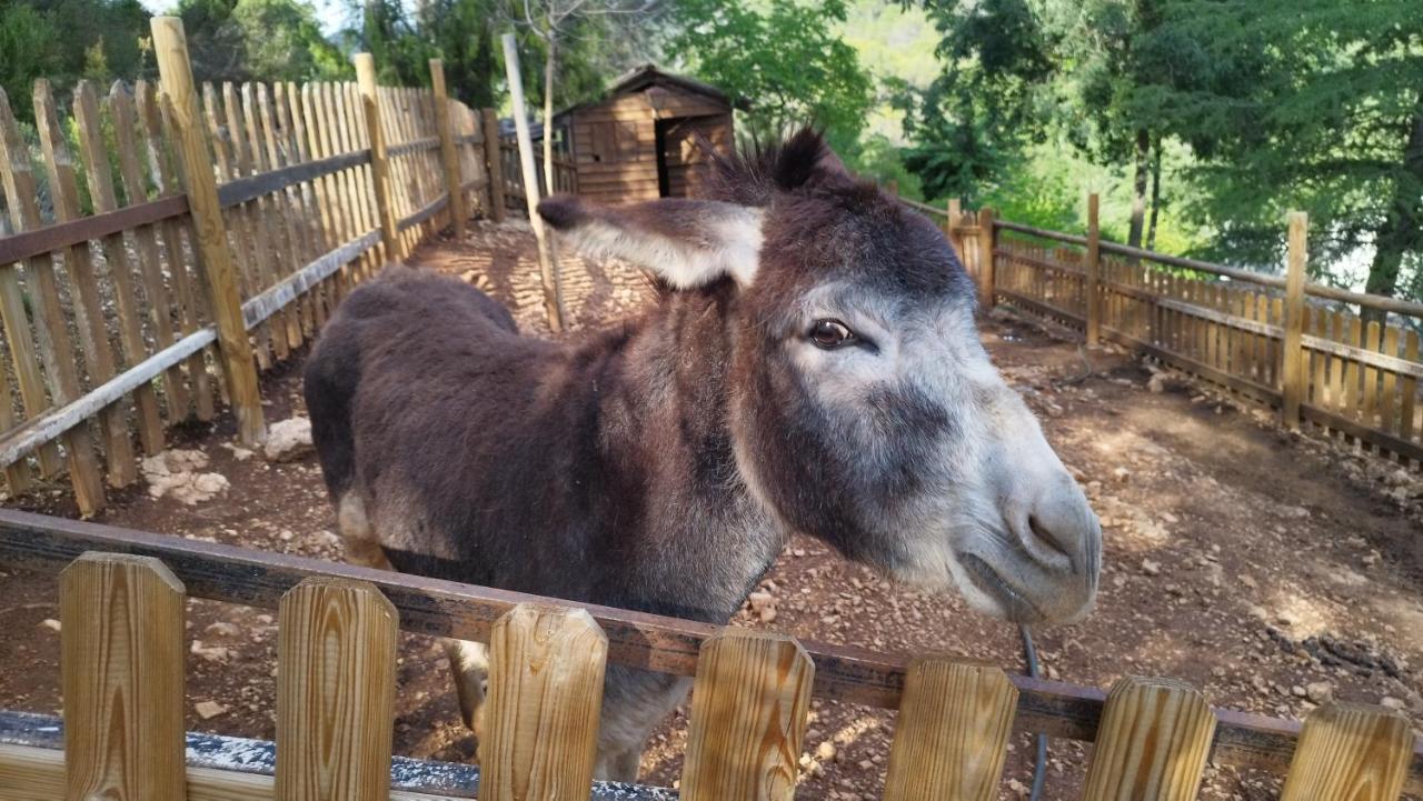 Alojamiento Rural Las Maravillas Cañada Catena Zewnętrze zdjęcie
