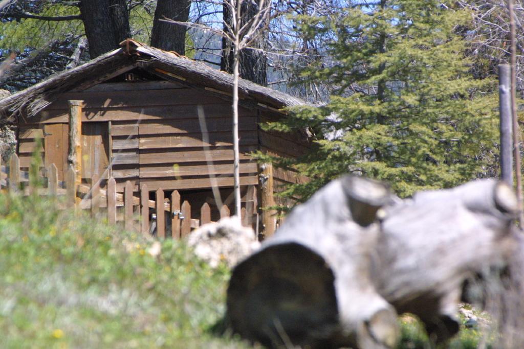 Alojamiento Rural Las Maravillas Cañada Catena Zewnętrze zdjęcie